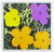 Andy Warhol / Sunday B Morning - 11.67: Flowers