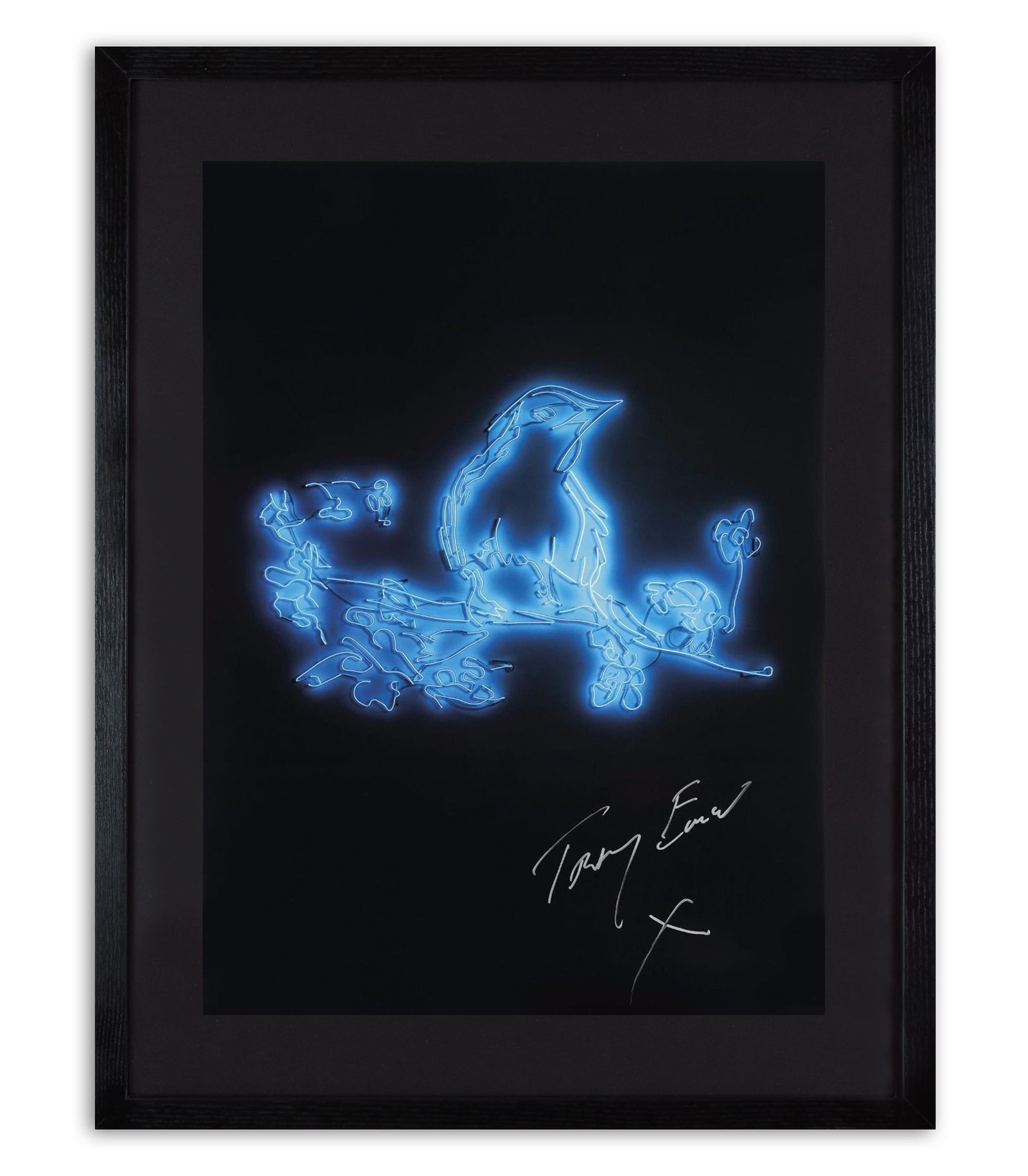Tracey Emin - My favourite little bird (Framed)